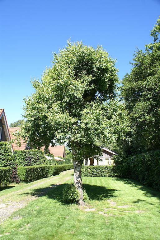 Eureka Vakantiehuisjes Schoorl Kültér fotó